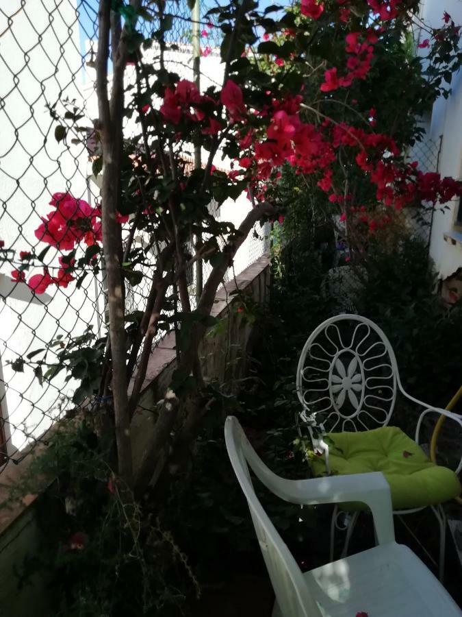 Can Pau Guesthouse 兰卡 外观 照片